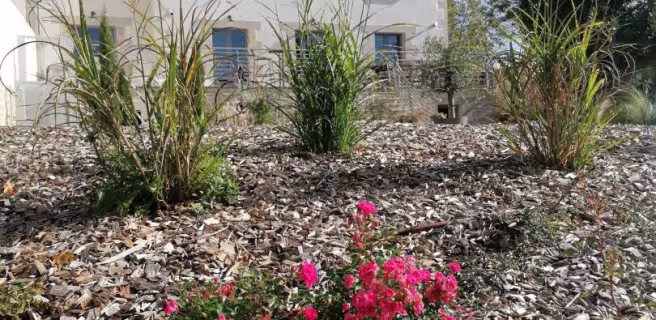 Gîte d'étape entre Loyre et Canaux