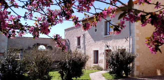 Au repos des elfes - Le grand Chevreuil au nez vert