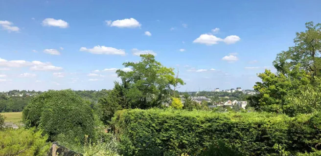 Les Agapanthes - Meublé Fuchsia