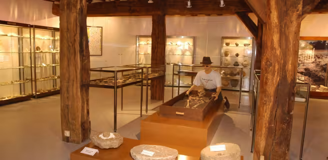 Musée municipal de Préhistoire et d'Histoire
