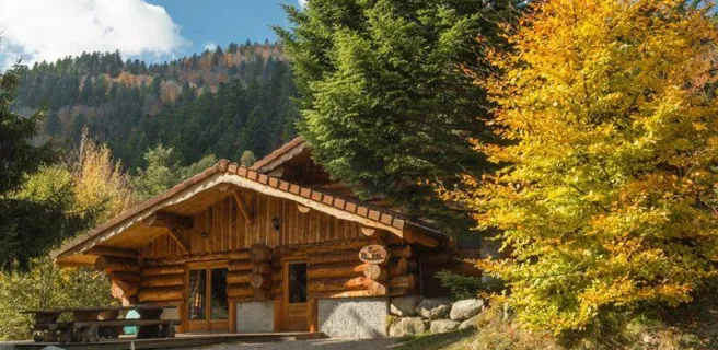 Chalet 15 personnes Brimbelles