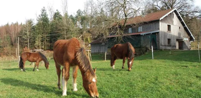 Gîte à la ferme aux moineaux - 25 personnes