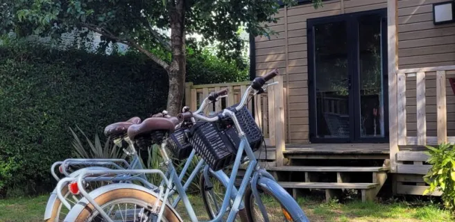 La Forêt - Stella-Plage