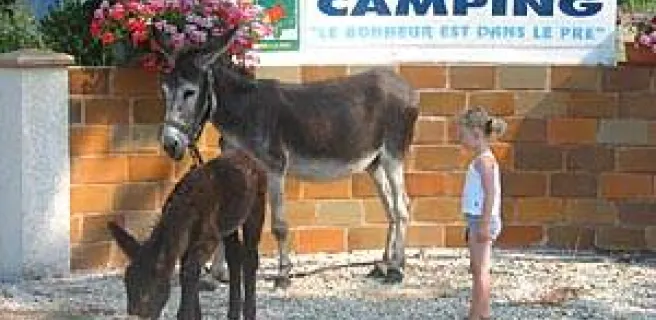 Aire naturelle de camping Le Bonheur est dans le Pré