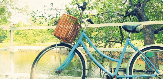 Le beau vélo de Robigo
