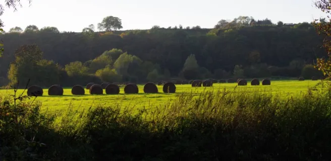 La Ferme de Courcelles, gite en pays de Thiérache