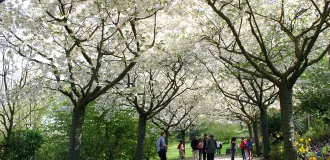 Jardins de Valloires