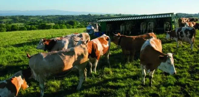 Fromagerie Jeune Montagne