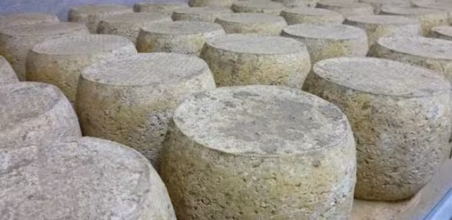 Fromagerie de Thérondels