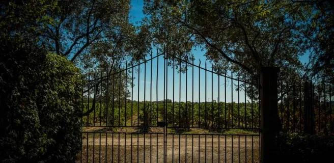 Sud de France Développement