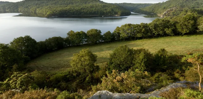 Lac de Guerlédan