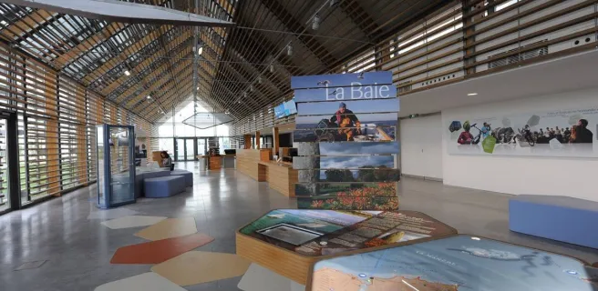 CIT MSM