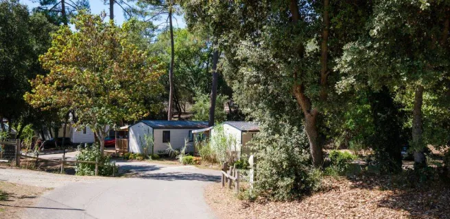 Copyrith : camping Parfums d'Eté