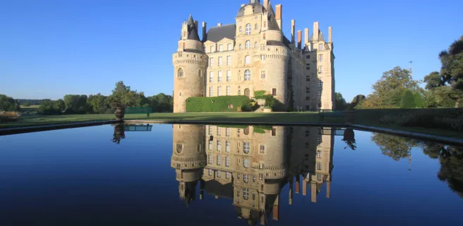 C.Cosse de Brissac