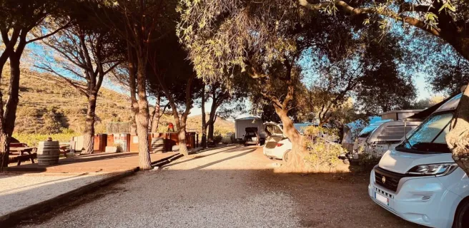 Pétanque, coin pique-nique et piscine - Camping le maurynate - J.Borrat