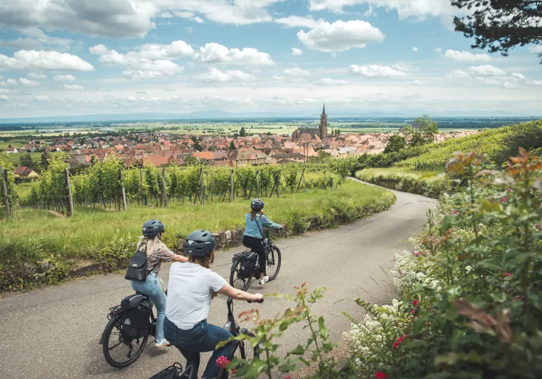 Balade à vélo à Dambach-la-ville
