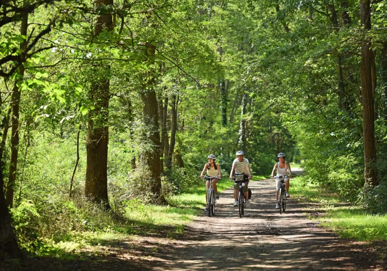 Balade vélo en Sologne à Marcilly-en-Gault
