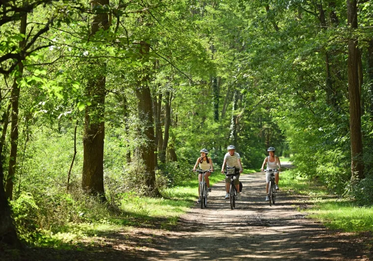Balade vélo en Sologne à Marcilly-en-Gault