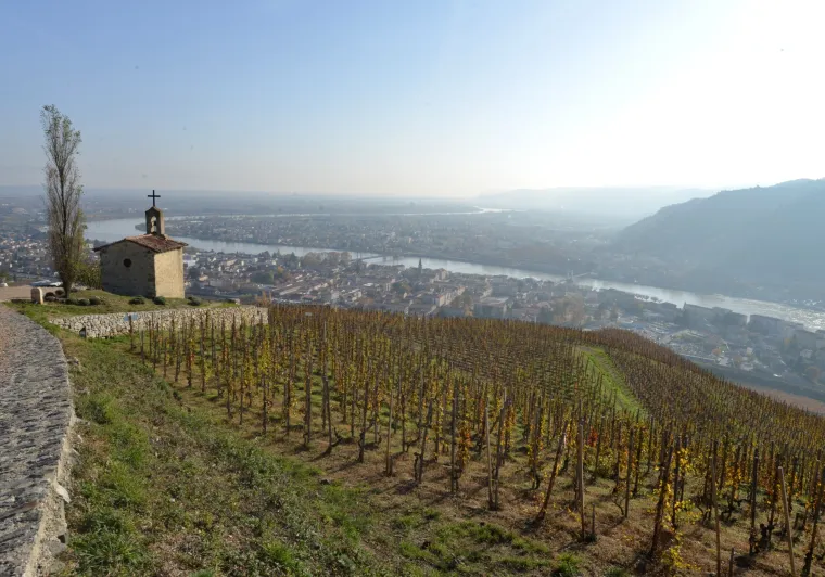 les coteaux de l’Hermitage