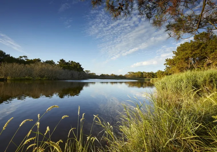 Marais de Mousterlin