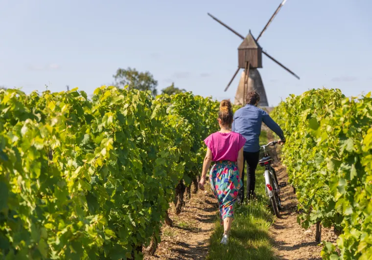 Moulin de la Montagne dans le Layon à Thouarcé