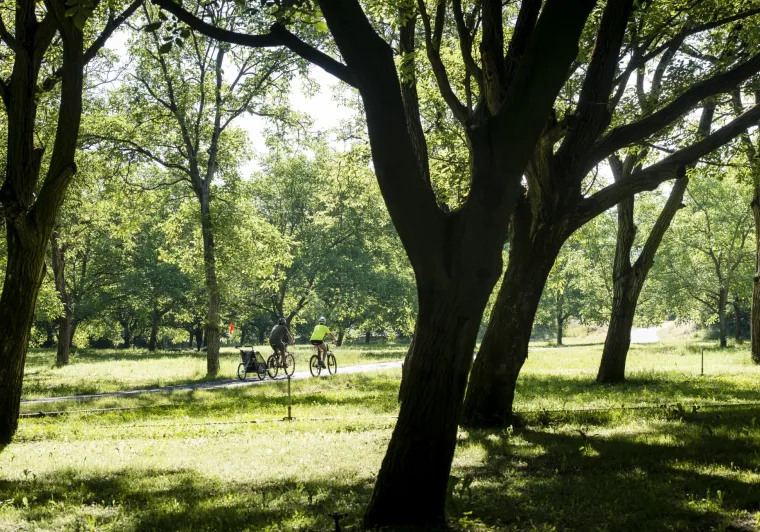 Le parc de Lorient à vélo