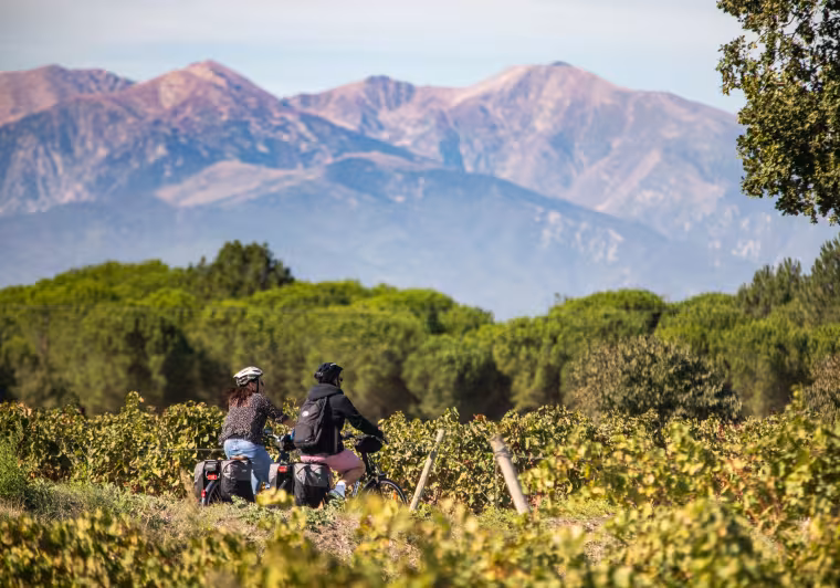 Les Pyrénées en arrière plan