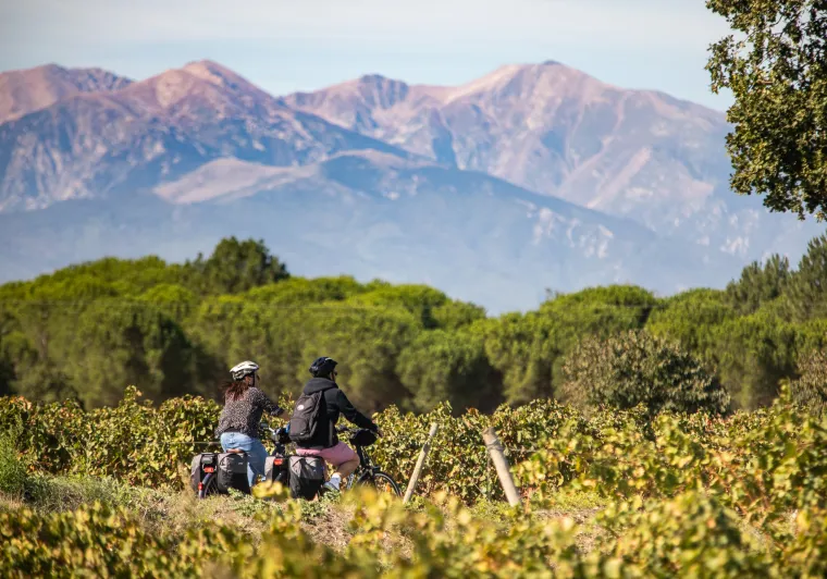Les Pyrénées en arrière plan