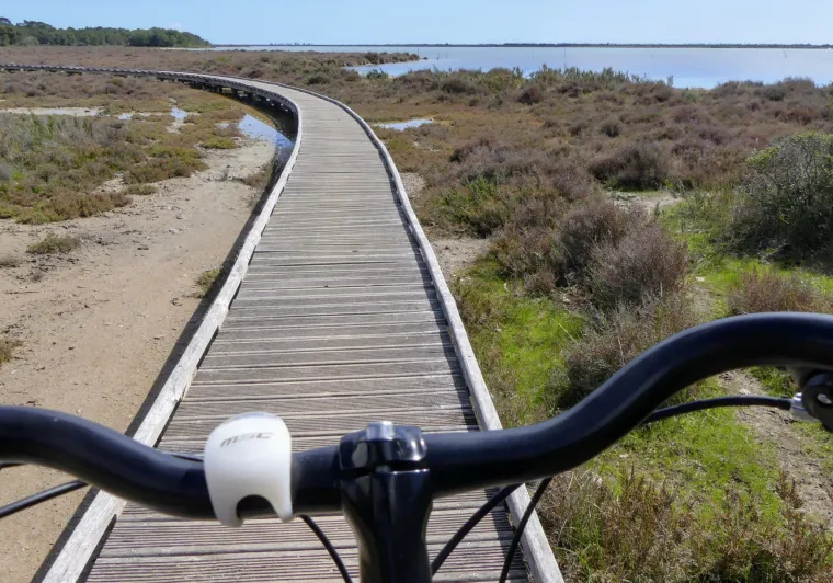 Traversée du Bois d'Aresquiers à vélo