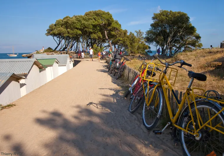 Bord de mer de Thierry Ryo