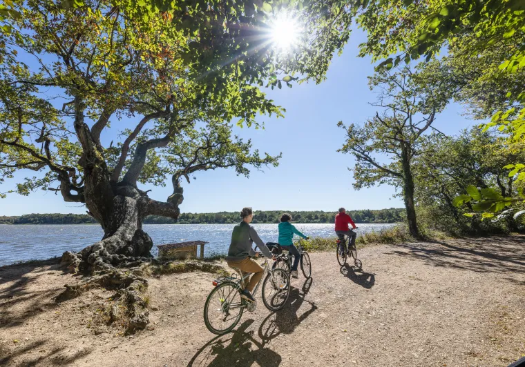 Étang de la Mer Rouge - PNR de la Brenne