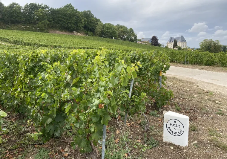Château de Saran en Champagne