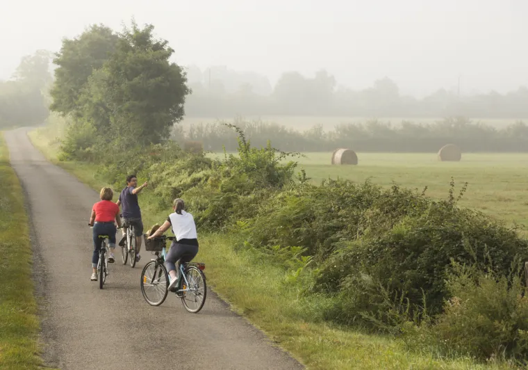 Balade champêtre en queue de Brenne - Boucle vélo n°12