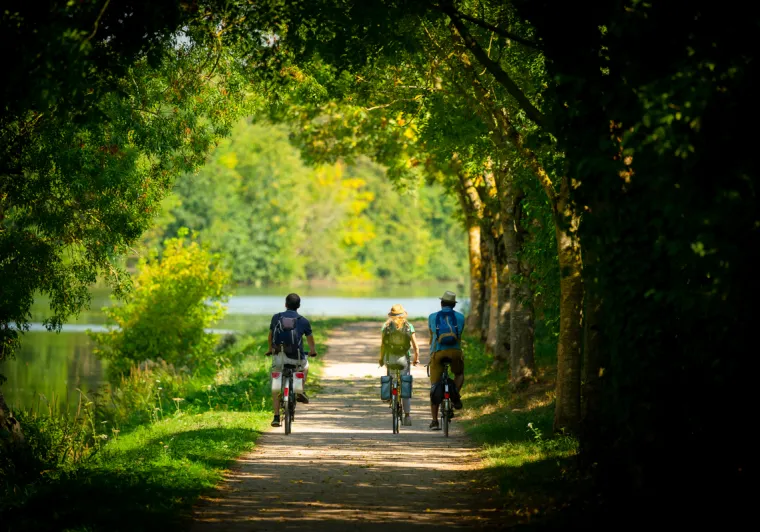 Voie verte au bord de l'eau - La Vélobuissonnière