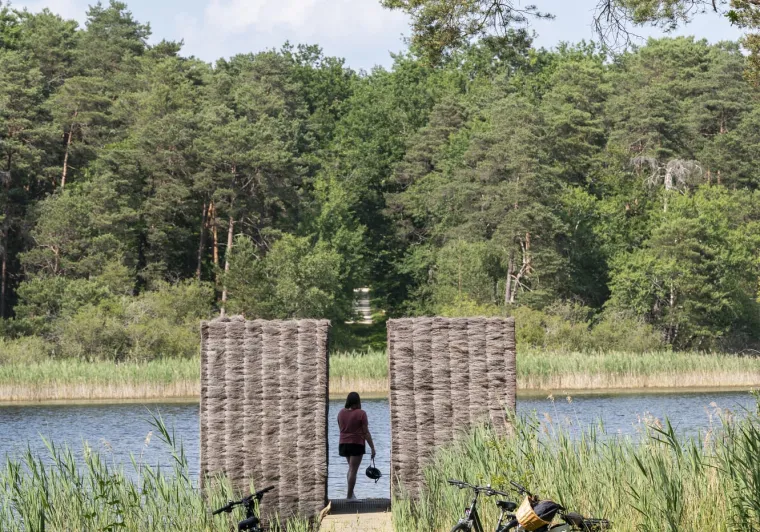 Balade en Sologne à vélo