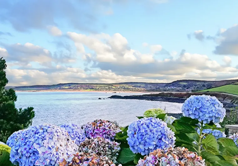 Le tour de la presqu'île du Cotentin 