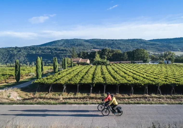Le Luberon à vélo à Coustellet