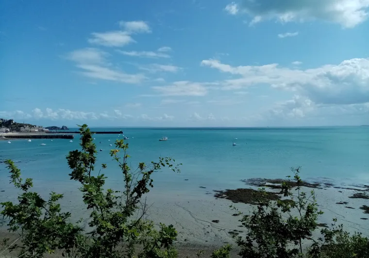Vue sur la Manche à Cancale