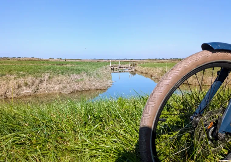 Le marais breton vendéen aux Moutiers-en-Retz