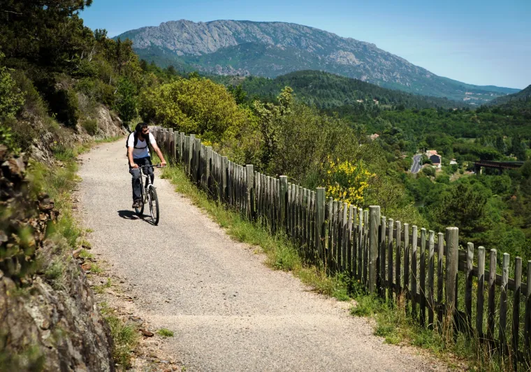 Aux abords du Caroux sur la PassaPaïs