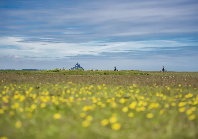 Travelling autour du Mont-Saint-Michel