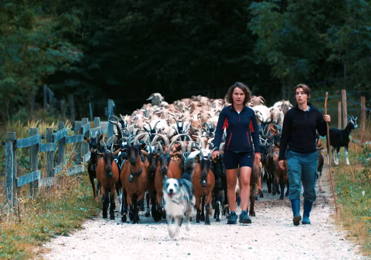 La Route des Fromages à Vélo par Claire Perrinel