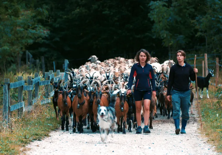 La Route des Fromages à Vélo par Claire Perrinel