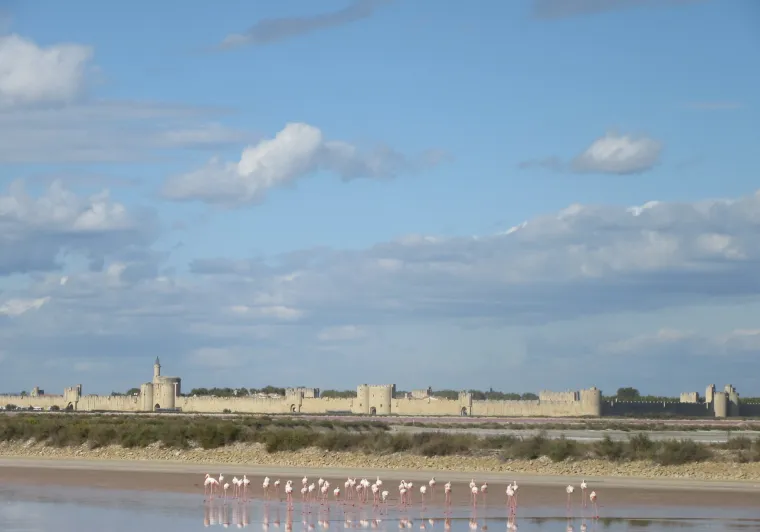 Salins d'Aigues-Mortes