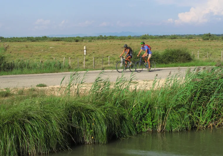 A travers les rizières à vélo