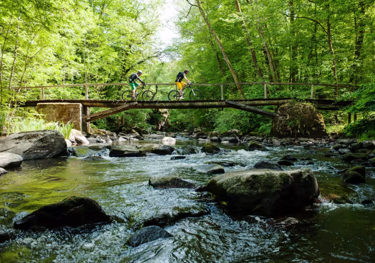 VTTistes au dessus de la vallée du Cousin dans le Morvan