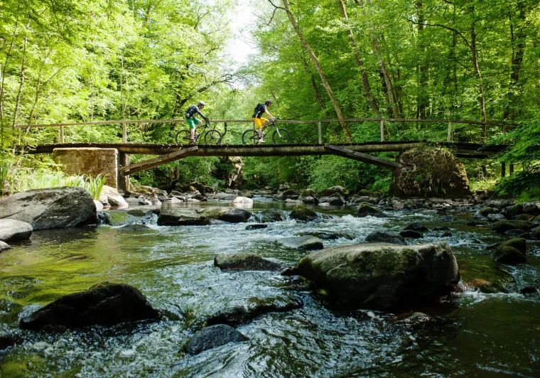 VTTistes au dessus de la vallée du Cousin dans le Morvan