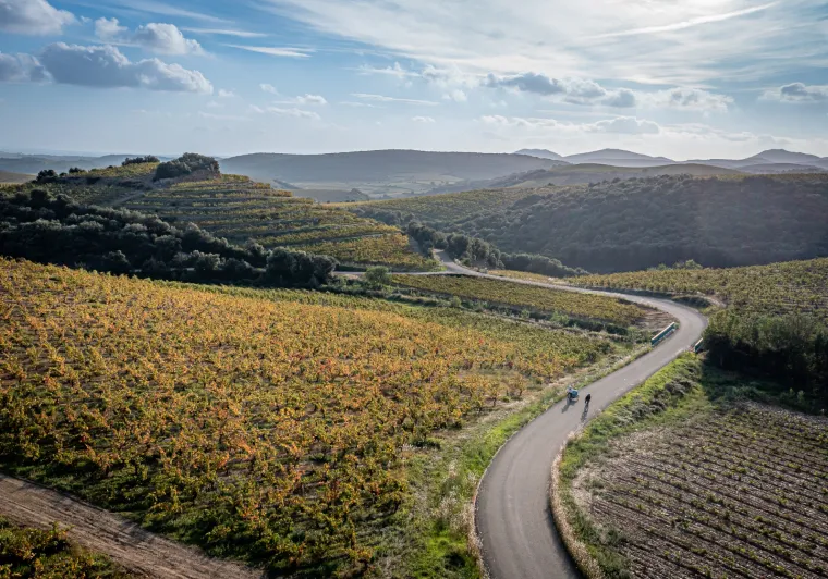 La Véloccitanie et les vignes héraultaises