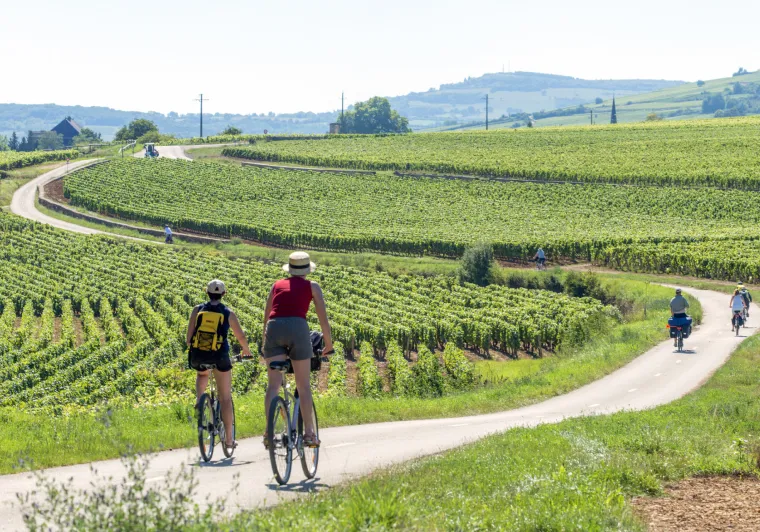 Voie des Vignes à vélo