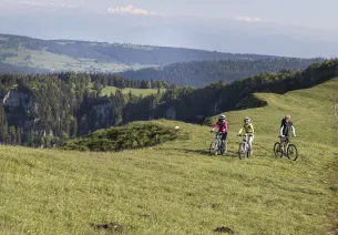 Sur les crètes du Mont d'Or